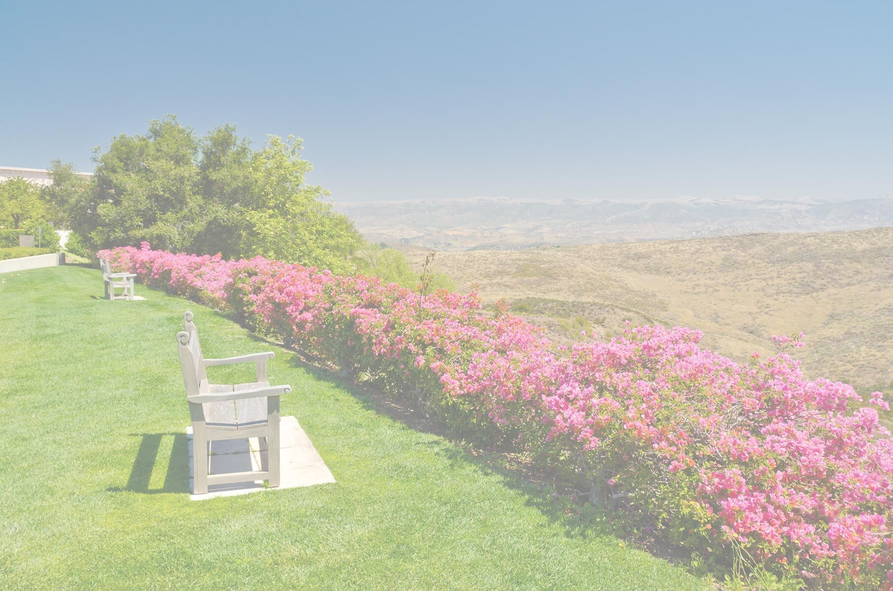 Outdoor view with benches and pink flowers overlooking Simi Valley